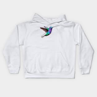 Hummingbird Kids Hoodie